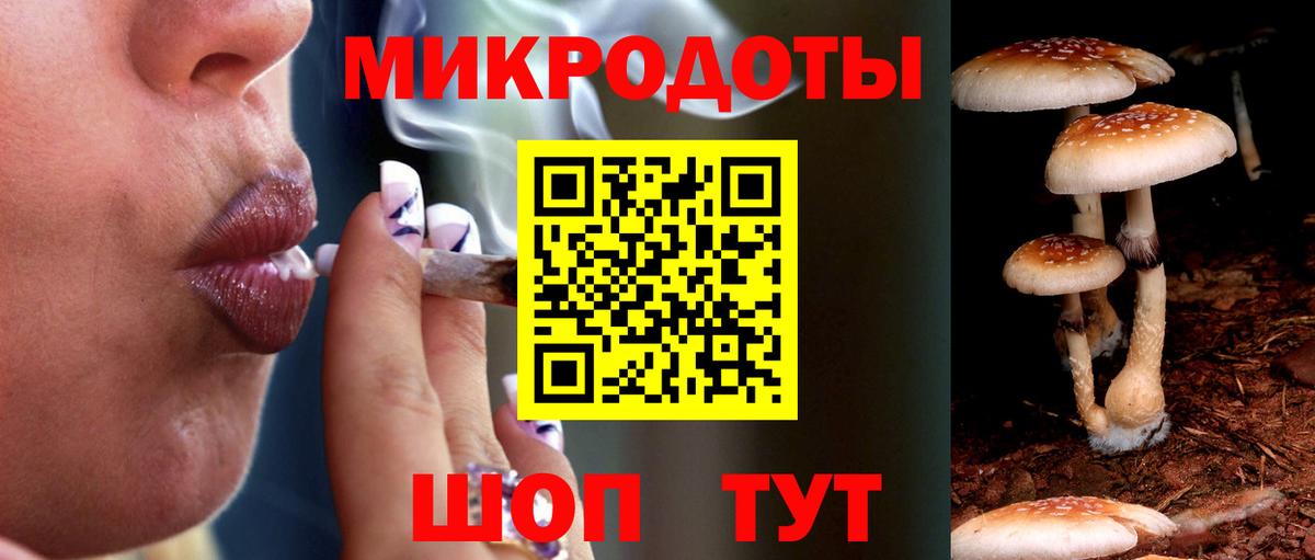 Псилоцибиновые грибы Psilocybe  Вход с VPN  цена   Кизляр 