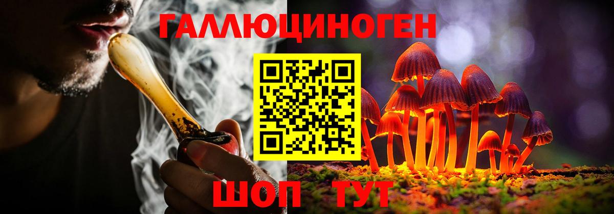 Галлюциногенные грибы прущие грибы Кизляр